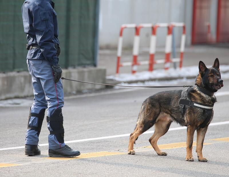 Agent de sécurité avec chien